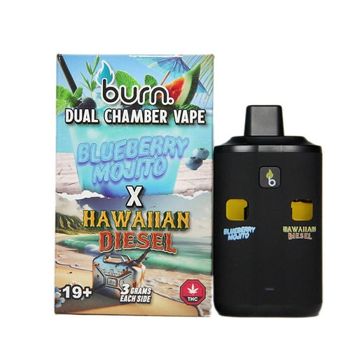 Burn – Dual Chamber Disposable Vape – Blueberry Mojito + Hawaiian Diesel (6G)