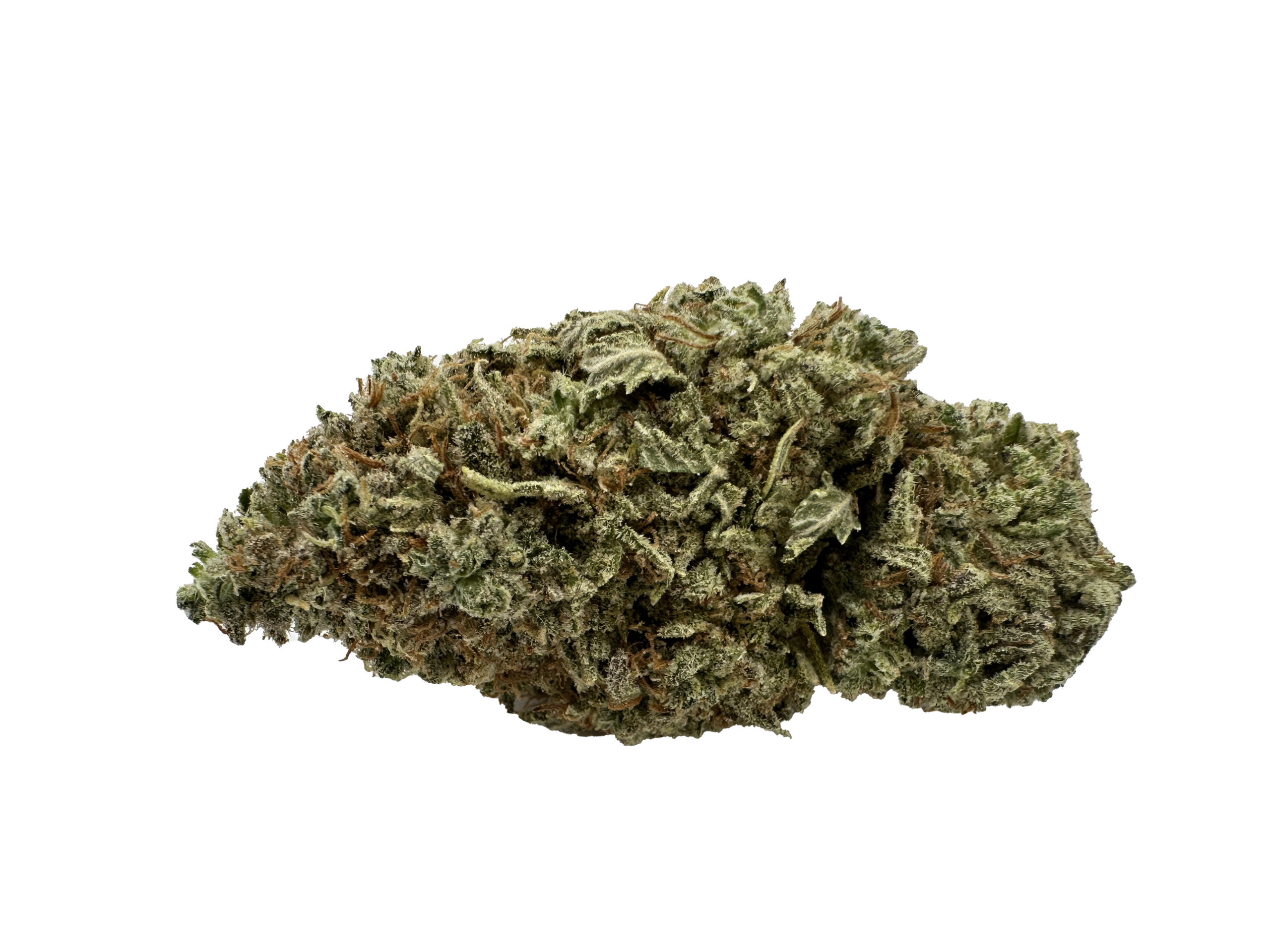 Gorillaback Haze